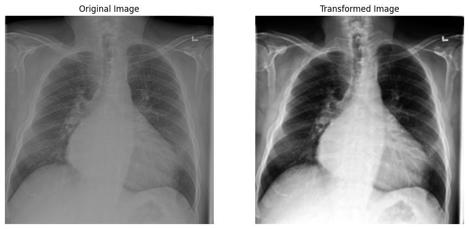 XRay Image 1